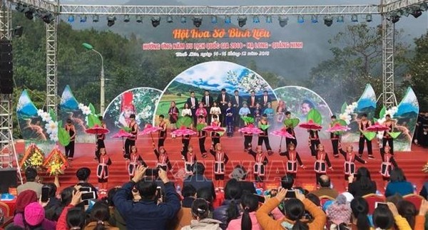 Фестиваль камелии сасанквы - интересное туристическое мероприятие в Куангнине - ảnh 1