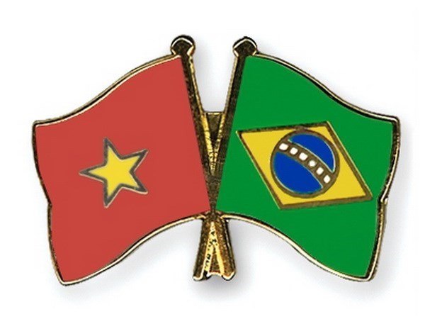Бразилия и Вьетнам укрепляют двусторонние отношения - ảnh 1