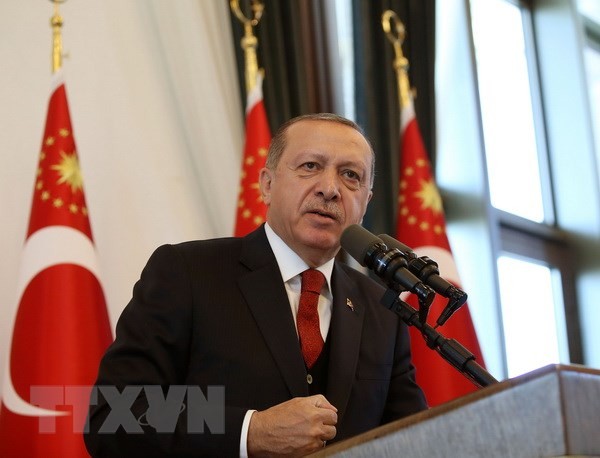 Президент Турции Реджеп Тайип Эрдоган посетит Россию - ảnh 1