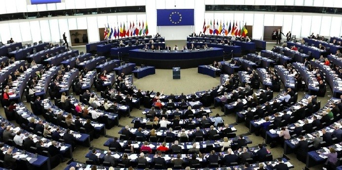 В странах ЕС продолжаются выборы в Европарламент - ảnh 1