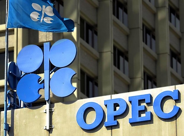 ОПЕК утвердила продление сделки о сокращении добычи нефти на 9 месяцев - ảnh 1
