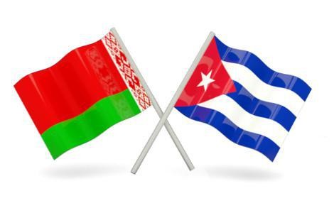 Куба и Беларусь активизируют сотрудничество в разных областях - ảnh 1