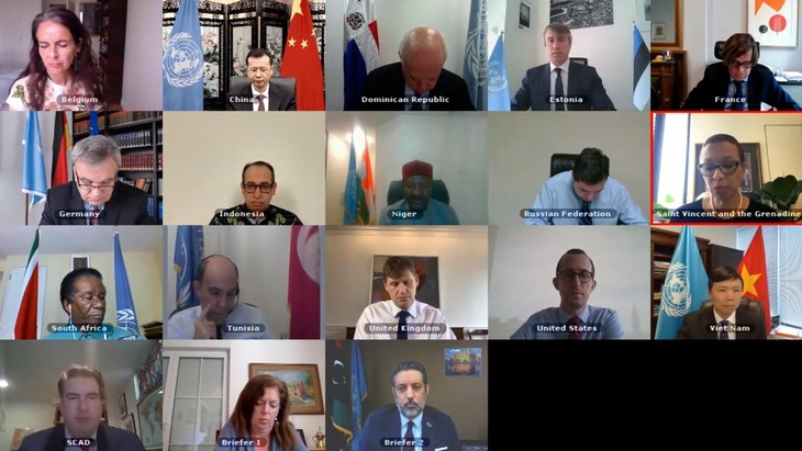 Онлайн-заседание СБ ООН по эскалации конфликта в Ливии  - ảnh 1