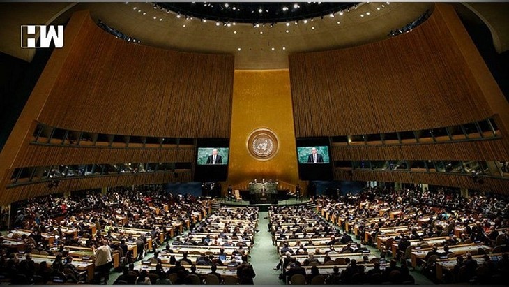 В ООН анонсировали проведение спецсессии по вопросам борьбы с COVID-19 - ảnh 1