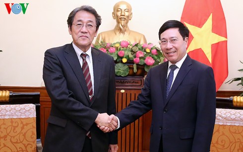 Deputi PM, Menlu Vietnam, Pham Binh Minh menerima Dubes Luar Biasa dan Berkuasa Penuh  Jepang untuk Vietnam - ảnh 1
