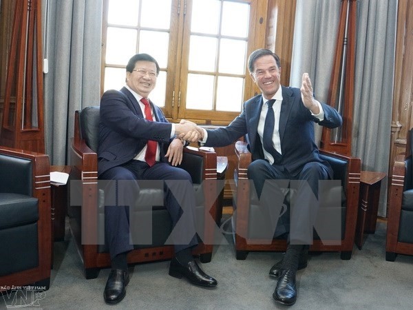 Deputi PM Vietnam, Trinh Dinh Dung melakukan pertemuan dengan PM Belanda, Mark Rutte - ảnh 1