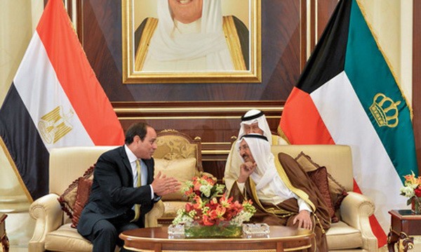 Mesir menghargai keamanan negara-negara Teluk - ảnh 1