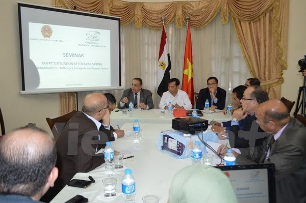 Lokakarya tentang kesempatan, tantangan dan prospek kerjasama Vietnam-Mesir - ảnh 1