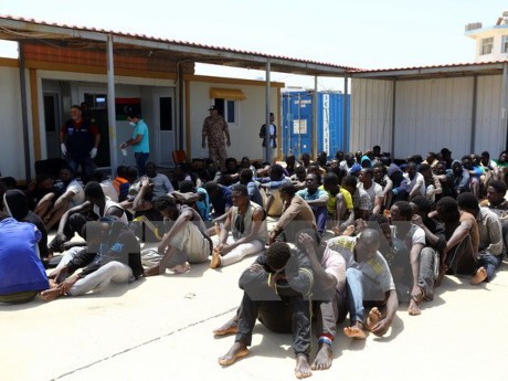 PBB meminta kepada Libia supaya membebaskan para pengungsi dan migran - ảnh 1
