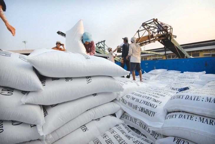 Kesempatan ekspor beras ke Filipina - ảnh 1