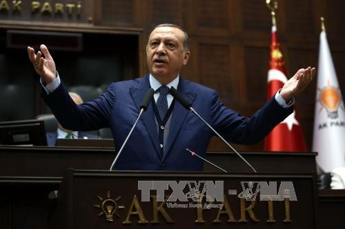 Ketegangan diplomasi di Teluk : Presiden Turki mengutuk tindakan pengucilan terhadap Qatar - ảnh 1