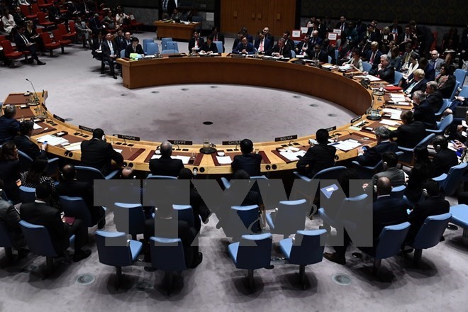 DK PBB mengadakan pertemuan untuk membahas solusi memecahkan krisis di Jerussalem Timur - ảnh 1