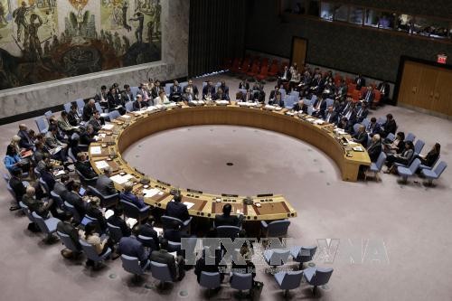  DK PBB mengesahkan resolusi mencegah kaum teroris mendekati sumber senjata - ảnh 1