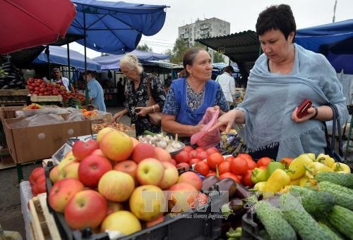 Ekonomi Rusia berkembang stabil tanpa memperdulikan sanksi-sanksi - ảnh 1