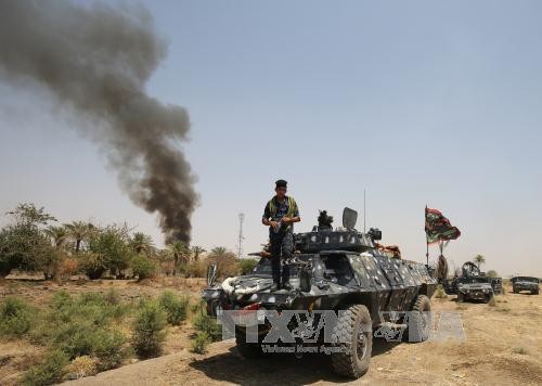 Ratusan militan IS dibasmi dalam serangan-serangan udara di Irak - ảnh 1