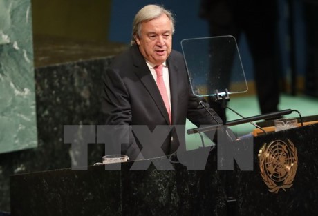 Sekjen PBB memprioritaskan  politik dalam melakukan reformasi aktivitas penjagaan perdamaian - ảnh 1