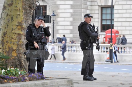 Inggris menahan banyak tersangka teroris - ảnh 1