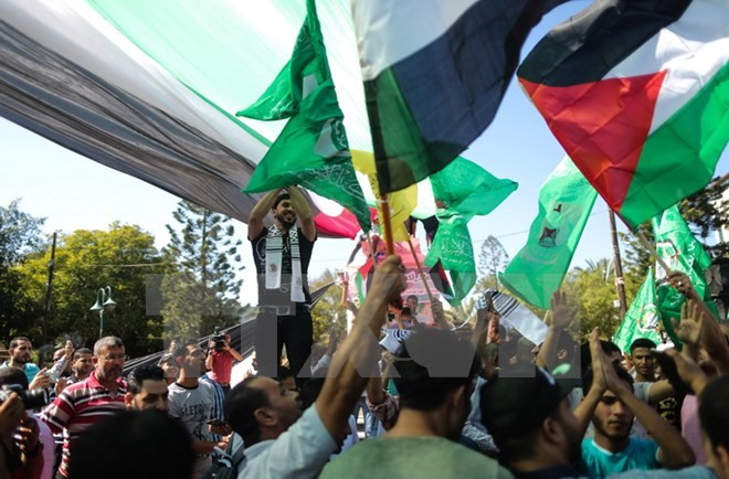 Pemerintah Palestina memulai restrukturisasi keamanan di Jalur Gaza - ảnh 1