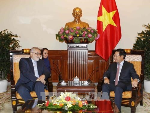 Memperkuat kerjasama ekonomi-perdagangan antara Vietnam dan Iran - ảnh 1