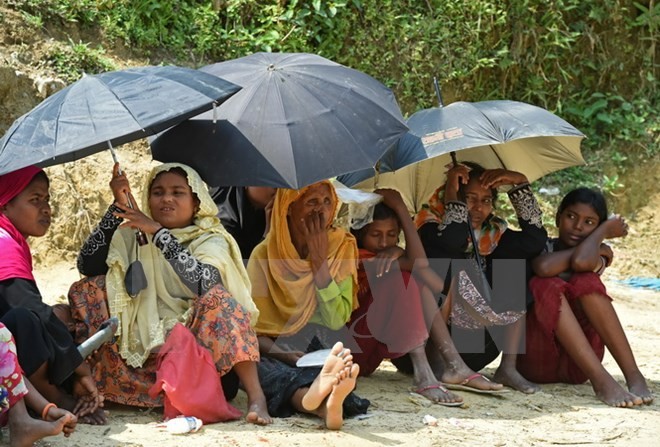 DK PBB mengeluarkan Pernyataan Bersama tentang situasi negara bagian Rakhine (Myanmar) - ảnh 1
