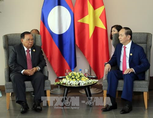 Pres. Vietnam, Tran Dai Quang bertemu dengan  para pemimpin peserta Pekan Tingkat Tinggi APEC - ảnh 1
