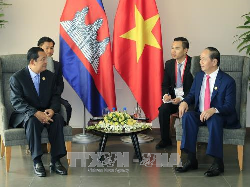Pres. Vietnam, Tran Dai Quang bertemu dengan  para pemimpin peserta Pekan Tingkat Tinggi APEC - ảnh 2