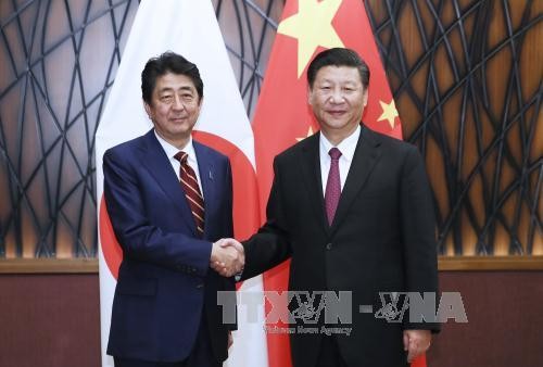 Pimpinan Tiongkok, Jepang dan Republik Korea melakukan pertemuan di sela-sela Konferensi APEC 2017 - ảnh 1