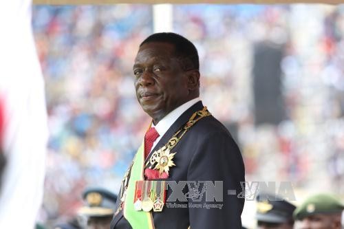 Presiden baru Zimbabwe membubarkan kabinet - ảnh 1