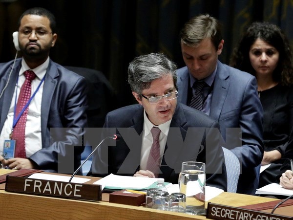 Perancis mengusulkan kepada DK PBB supaya mengadakan sidang darurat tentang situasi Libia - ảnh 1