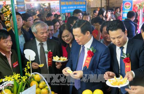 Menyosialisasikan dan memuliakan brand jeruk dan berbagai hasil pertanian Provinsi Ha Tinh - ảnh 1