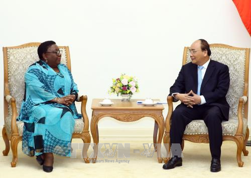 PM Vietnam, Nguyen Xuan Phuc secara terpisah menerima Menlu Liberia dan Dubes Afrika Selatan serta Gabungan Organisasi Ekonomi Jepang - ảnh 1