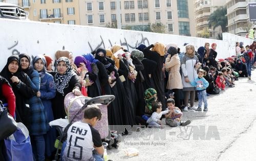 Masalah migran: PBB mencanangkan penggalangan dana serupa sebesar 4,4 miliar USD untuk membantu kaum pengungi Suriah - ảnh 1