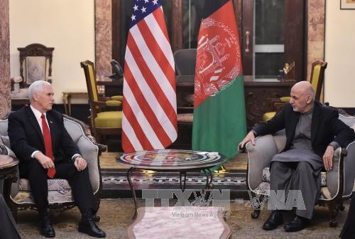 Wapres AS melakukan kunjungan mendadak di Afghanistan - ảnh 1