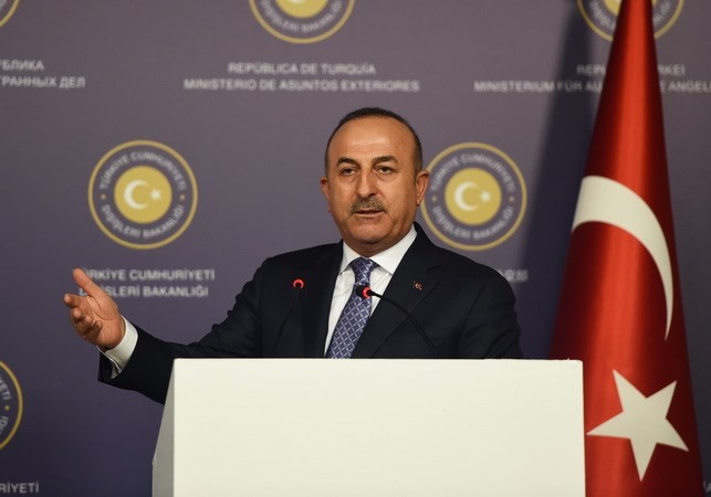 Turki menegaskan mendukung keutuhan wilayah Suriah - ảnh 1