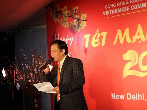 Komunitas orang Vietnam di seluruh dunia merayakan Hari Raya Tet - ảnh 1