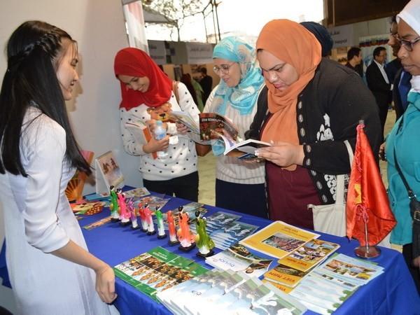 Vietnam menghadiri Festival kebudayaan internasional Sakia di Kairo - ảnh 1