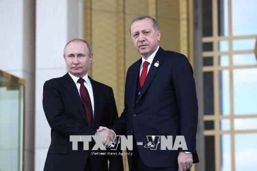 Presiden Rusia dan Turki mengadakan pembicaraan telepon tentang Suriah dan Jalur Gaza - ảnh 1