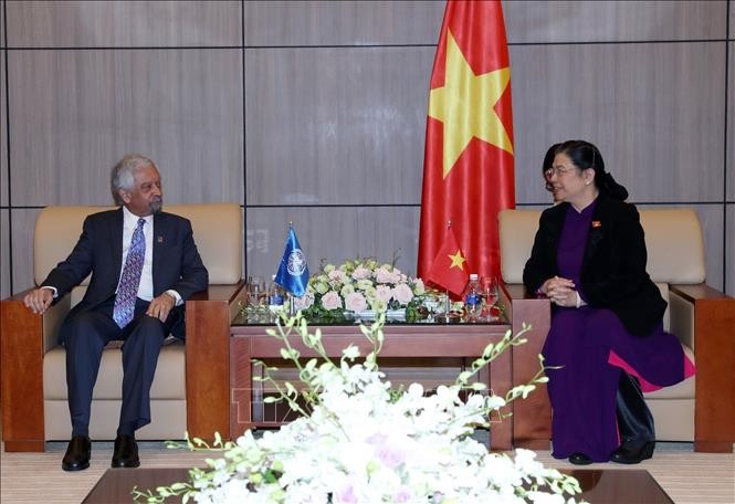 Wakil Harian Ketua MN Vietnam, Tong Thi Phong menerima Koordinator Tetap PBB di Vietnam - ảnh 1
