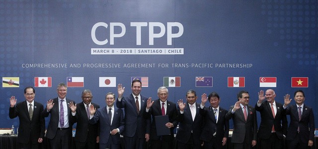 CP TPP resmi menjadi efektif - ảnh 1