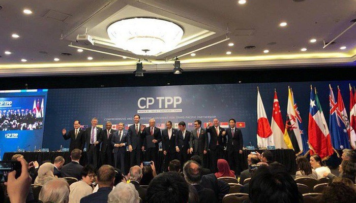 Perjanjian CP TPP resmi menjadi efektif bagi Vietnam - ảnh 1