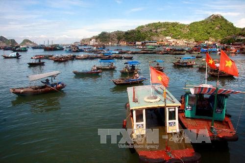 Laut dan pulau Vietnam: Menyusun rencana melaksanakan Strategi pengembangan ekonomi kelautan secara berkesinambungan - ảnh 1