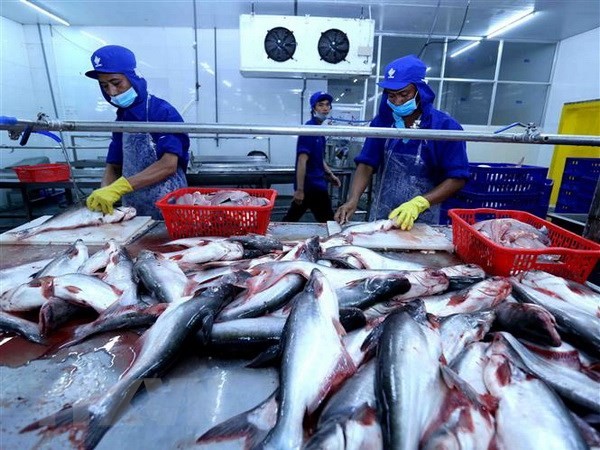 Cabang perikanan Vietnam menargetkan akan mencapai nilai ekspor sebesar 10 miliar USD pada tahun 2019 - ảnh 1