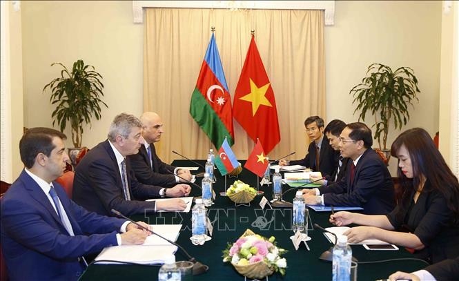 Konsultasi politik antara Vietnam dengan Azerbaijan - ảnh 1