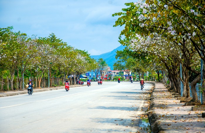 Provinsi Dien Bien sudah bersedia untuk Festival bunga Ban 2019 - ảnh 1