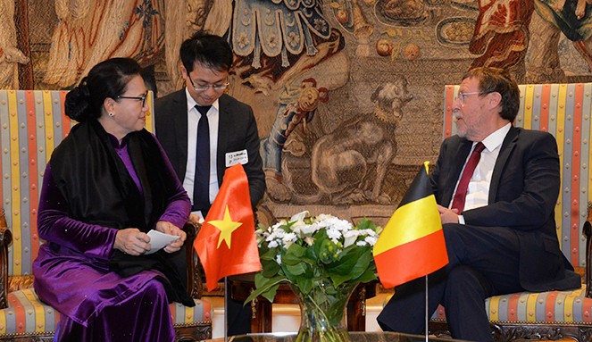 Ketua MN Vietnam, Ibu Nguyen Thi Kim Ngan secara terpisah melakukan pertemuan dengan Ketua Majelis Rendah Kerajaan Belgia dan Ketua Komisi Perdagangan Internasional dari Parlemen Eropa - ảnh 1