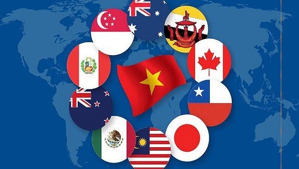 Eskpor Vietnam ke beberapa negara anggota CP TPP meningkat tinggi - ảnh 1