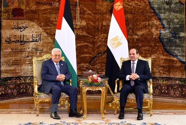 Liga Arab mendukung Palestina mengusahakan solusi politik - ảnh 1