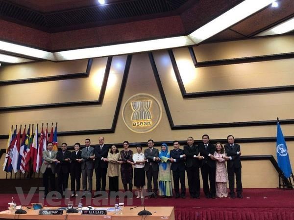 ASEAN dan PBB melakukan pemeriksaan kerjasama sampai tahun 2020 - ảnh 1