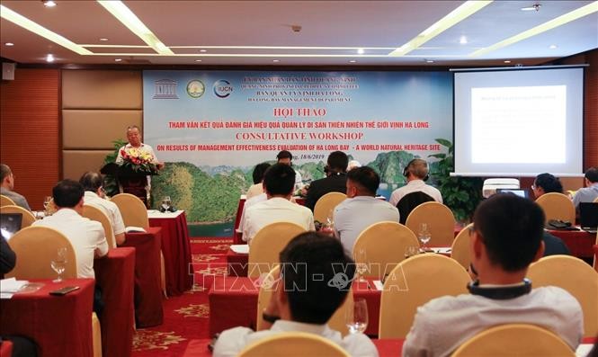 Perlu menetapkan perbatasan, memperluas dan membela dengan baik kawasan bantalan Teluk Ha Long - ảnh 1