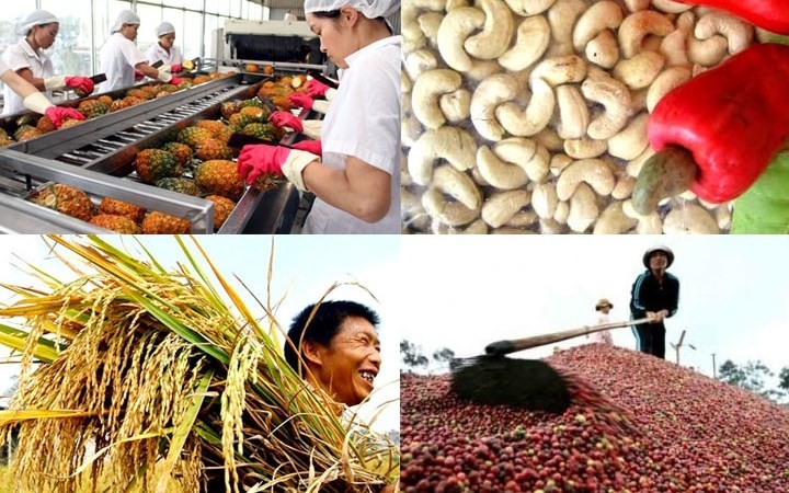 EVFTA – Peluang menyempurnakan manajemen badan usaha dan memperhebat ekspor agribisnis Vietnam - ảnh 1